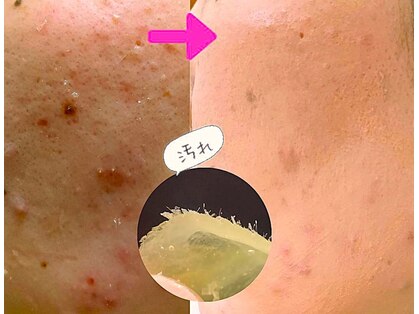 シエスタ 新小岩の写真