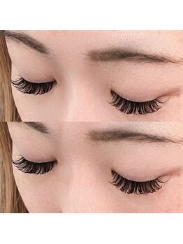 タムタム 市川(tamtam)/Wフラット240本