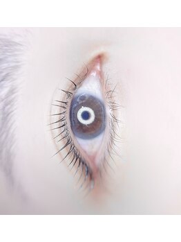 アンパルアン(un par un)/パリジェンヌ/ラッシュリフト