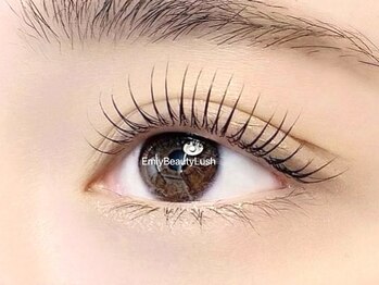 エミビューティラッシュ(Emiy Beauty Lush)の写真/丁寧なカウンセリング&施術で納得の仕上がり♪モチの良さにも定評あり◎魅力を最大限に引き出した目元へ！