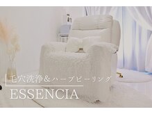 エッセンシア(ESSENCIA)の雰囲気（『完全個室でゆったりとした贅沢時間をお過ごしください』）