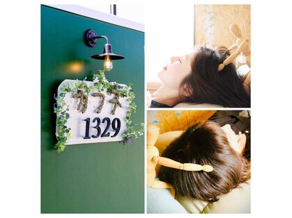 カフネ1329の写真