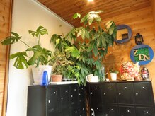 ゼン 徳島(ZEN)/レンタルロッカー