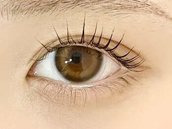 ローランリム(LORAN Lim)/立ち上げカール