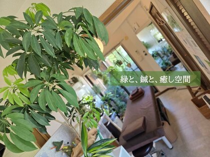 いとう鍼灸整体院 代官山恵比寿の写真