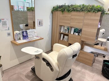 ウィスタリア フィールドプランシュ(WISTARIA FIELD-PLANCHES)/お部屋２