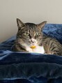ココル(cocoru) カメラを向けるとツンデレな白キジがいます!