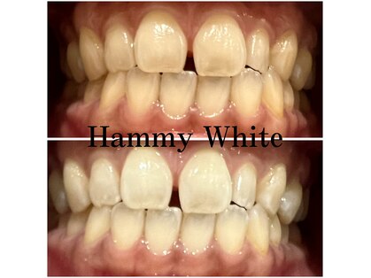 ハミーホワイト(Hammy White)の写真