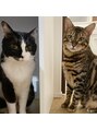 レイール 吉祥寺(Reir)&nbsp;我が家のニャンズ(=^ェ^=)ぎゅうちゃん&ごんちっち
