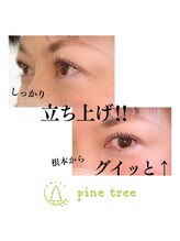 パインツリー(pine tree)/立ち上げデザイン