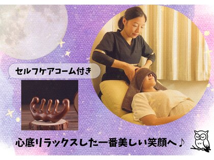 月とふくろうの写真