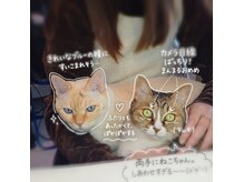 アンラベルゴーマルイチ(UNR501.)の雰囲気(とても人懐こい猫stuff達があなたのお膝に乗って癒します♪)