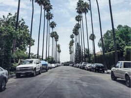 オススメメニュー☆