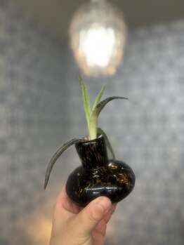 マシュマロハンド/よもぎ蒸し/冷え/むくみ改善