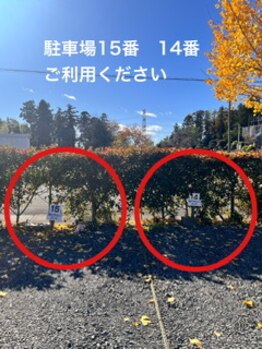 ミント/垣根の中、駐車場１５番１４番