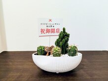 リラクゼーションサロン仙人掌【7/31NEW OPEN(予定)】の雰囲気(【内観】可愛いサボテンたちがお出迎え!)