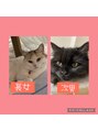 アジアン リラクゼーションヴィラ 月寒中央店(asian relaxation villa) 家族が増え、猫二匹に癒され中！猫好きな方ぜひお話ししましょ！
