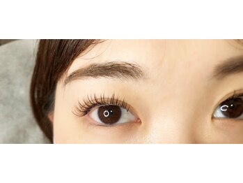 アイビーラッシュ(Eye be Lush)/フラットラッシュ　100本