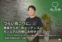 ガジュマルの樹