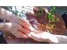 【HAND】定額<シンプル>+ハンド&ネイルマッサージ(90分/¥9,900)