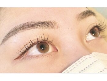 エメ(aimee)/120本フラットラッシュ