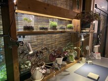アール 作新前通り店(R)/