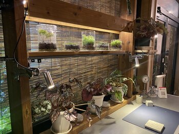 アール 作新前通り店(R)/