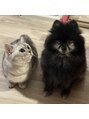 シェリー 仙台店(Cherie)&nbsp;黒いふわふわの犬さんと、足の短いネコさんと住んでます♪