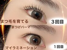 スピナー 新丸子(spinner)