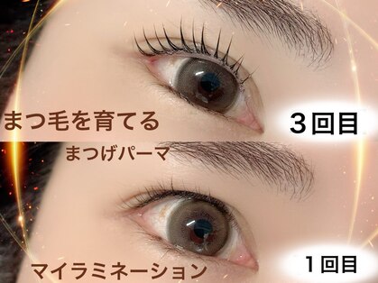 スピナー 新丸子(spinner)の写真