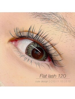 トット(totto.)/フラットラッシュ120本