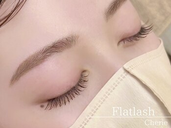 シェリー セカンド(Cherie 2nd)/フラットラッシュ120本