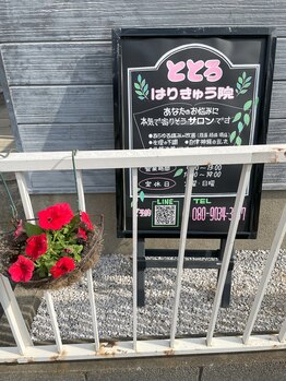 ととろはりきゅう院/