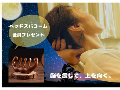 月とふくろうの写真