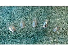 アンアント(An-ant)/ユニコーンパウダー