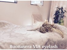 ボナセーラ ヴィーア(Buonasera VIA)の雰囲気（人気のマスカラパーマ（ラッシュリフト）ブラックティント）