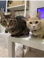 ベルサナ 天神店 愛猫2匹と暮らしています！