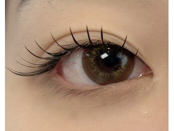 レイラッシュ(Ray lash)/フラットラッシュ