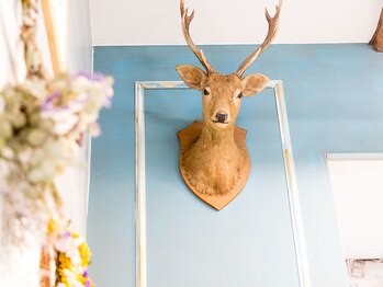 カリーブ ヘアーアンドリラックス(Karibu)/