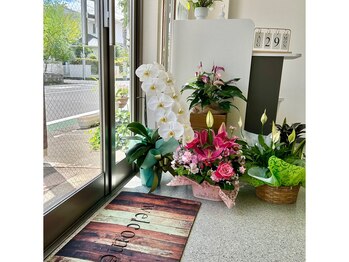 レーヴ 本厚木店(Reve.)/【入口】