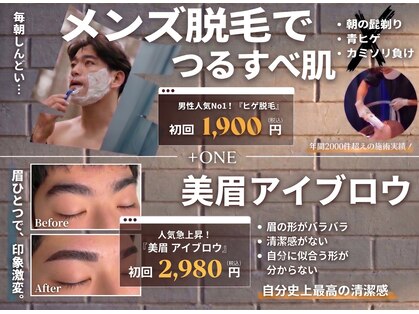 トレースの写真