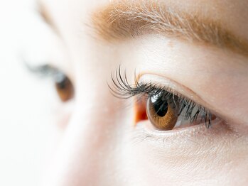 アイラッシュサロン シェリ(cheri)/【フラットマットラッシュ】