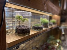 アール 作新前通り店(R)/