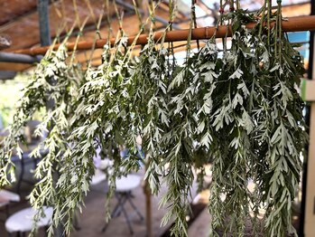 ひなた療術所/よもぎの葉