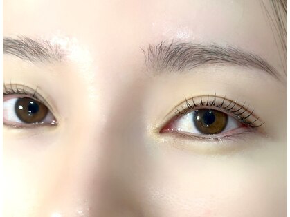 リノ(Lino)の写真