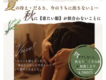 セレイン(Serein)