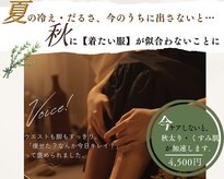 セレイン(Serein)