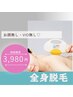 【8月限定】つるすべ肌へ、最短ルート☆全身脱毛（VIO無お顔無）￥3,980