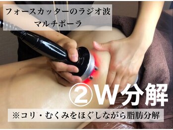 ボディベルム(BODY BELM)/フォースカッター/ラジオ波2