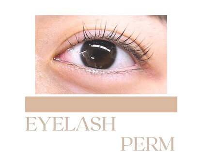 アルク(arc)の写真